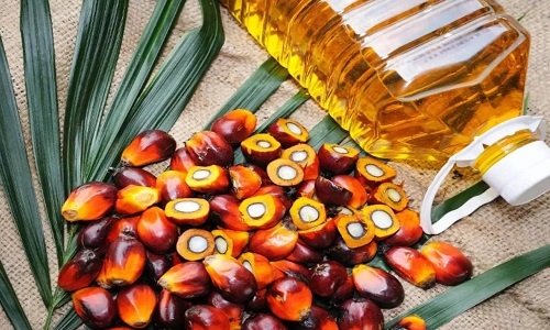 India's palm oil imports fall 15% to 4.39L tonne in May - Vimarsana News