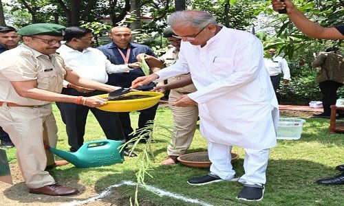 CM highlights importance of plantation on Environment Day
