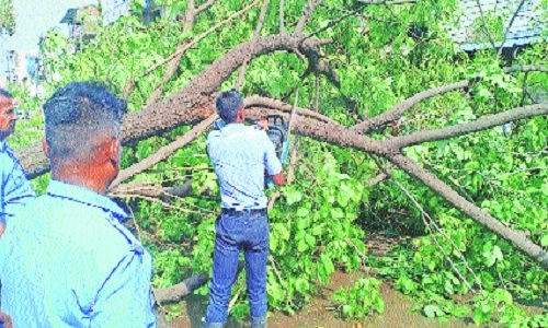 Thunderstorm causes power-cuts, uprooting of trees in East Nagpur - Vimarsana News