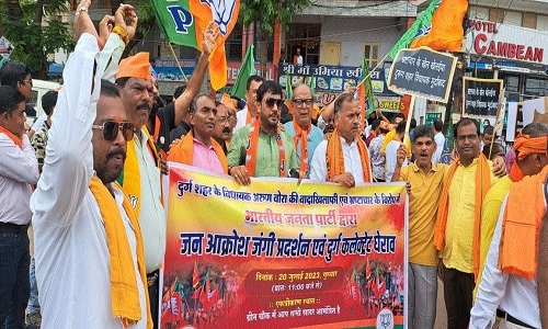 BJP workers 