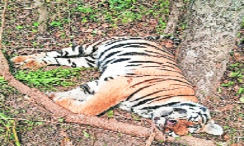 81-yr-old ex-WPSI field officer held in Gadchiroli - Vimarsana News
