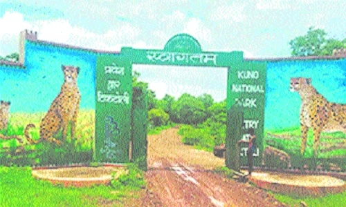 Govt to extend Kuno 