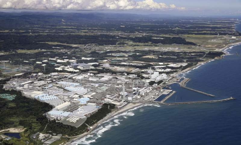 Fukushima N-plant