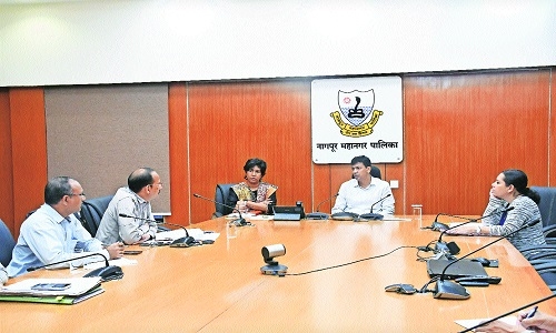 Eichhornia in Ambazari