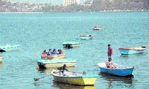 NGT bans cruise