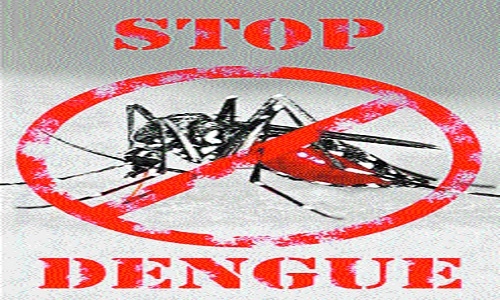 Dengue alert 