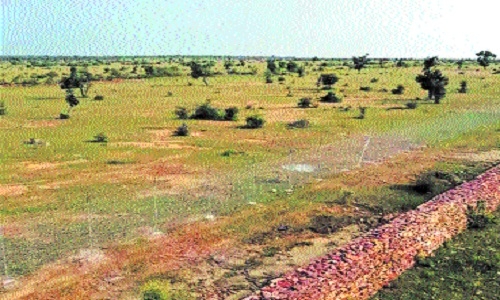 Gandhi Sagar Wildlife 