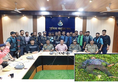 Naxalite gunned down in encounter 