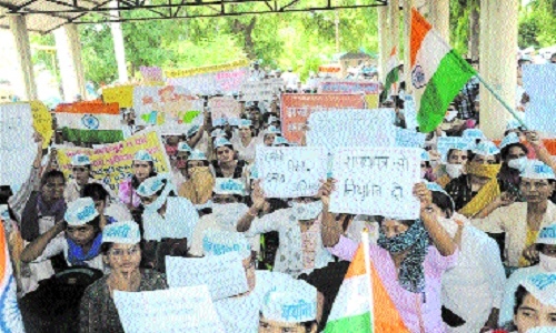 Candidates selected in MP Patwari 