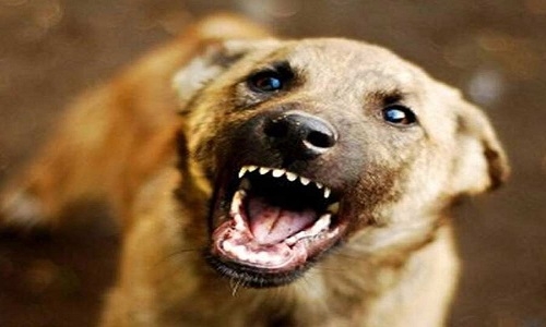 New-born’s body exhumed for post