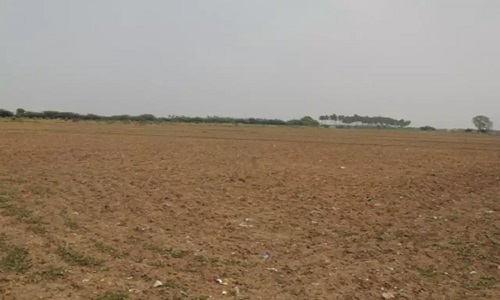 Ha unused land in one year