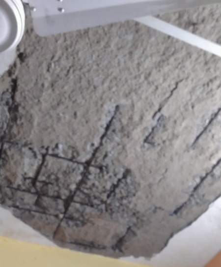 Senior Ticket Checker A K Mistris 