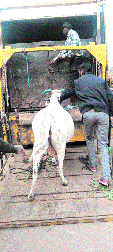 Anti-encroachment drive