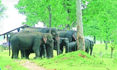 Locals’ ‘no’ to shifting of ‘Mangla’ from Kamlapur to Borban camp - The