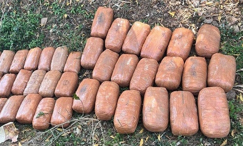 56 kgs of ganja seized - Vimarsana News