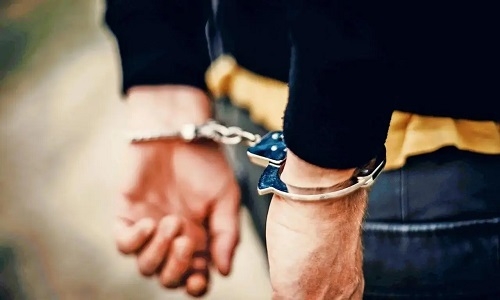 Abduction bid by fake NIA agents foiled; City's woman engineer rescued by cops - Vimarsana News