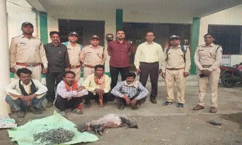 Forest Deptt team nabs 4 accused for hunting wild animal Sehi in Seoni