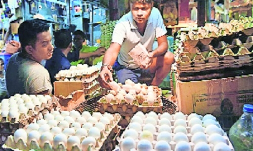 Egg prices 