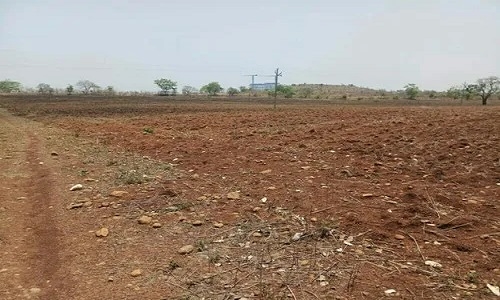 95.50 acres Land worth Rs 105 crore freed from Mafia, encroachers - Vimarsana News