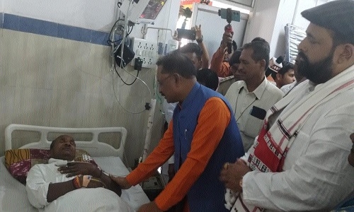Several injuredin honeybee attack - Vimarsana News