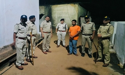 Cops nab 255