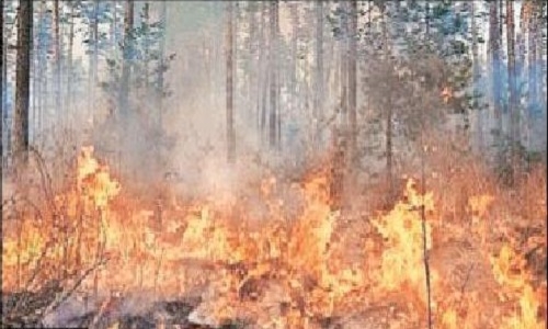 COUNTRY’S FIRST PTR 