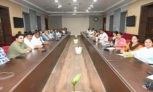 Collector instructs dealers