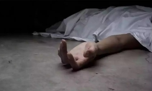 Girl attempts suicide Jumps off Mecosabag flyover - Vimarsana News