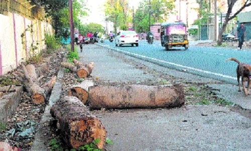 Dwindling Green Cover