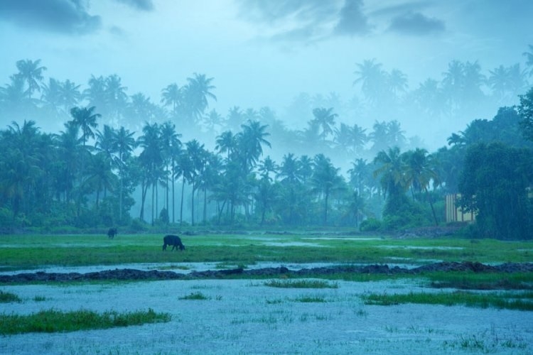 IMD predicts above normal monsoon