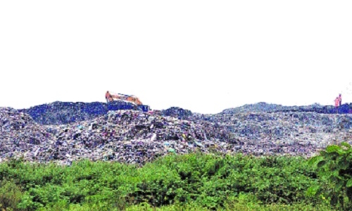 BMC to miss Swachhta point for delay in torrefied charcoal plant - Vimarsana News