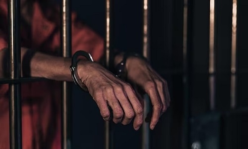 Judicial custody 