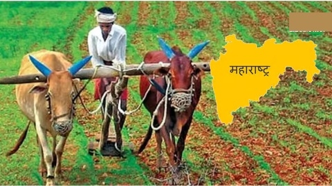 Mah bags Best Agriculture