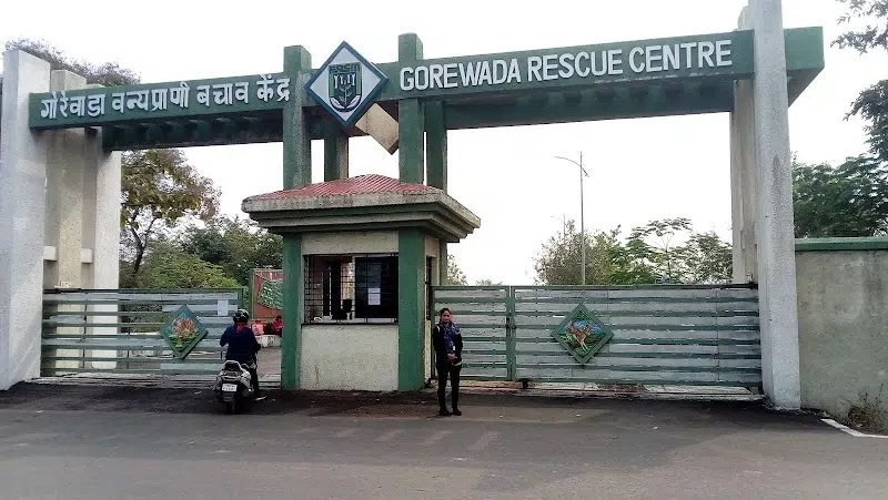 Gorewada Rescue Centre and Transit Treatment Centre