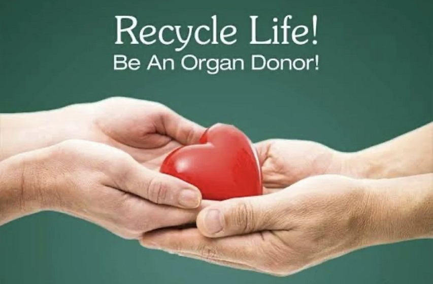  organ donation