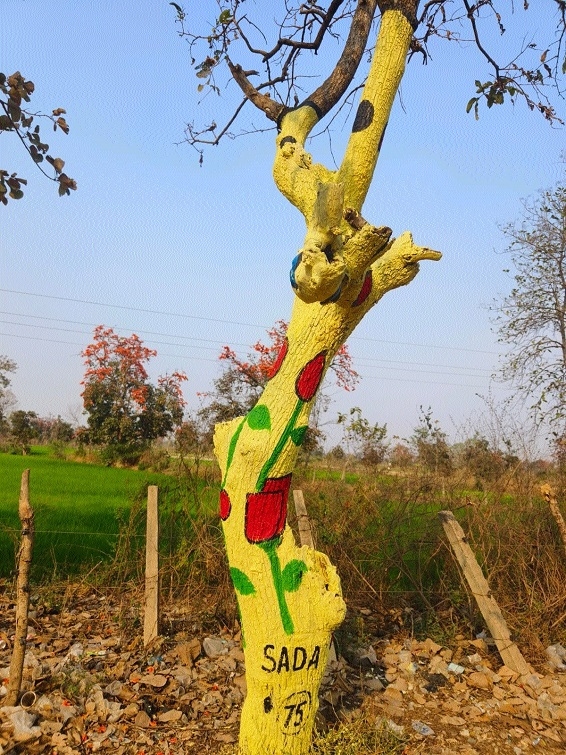  painting of tree trunks