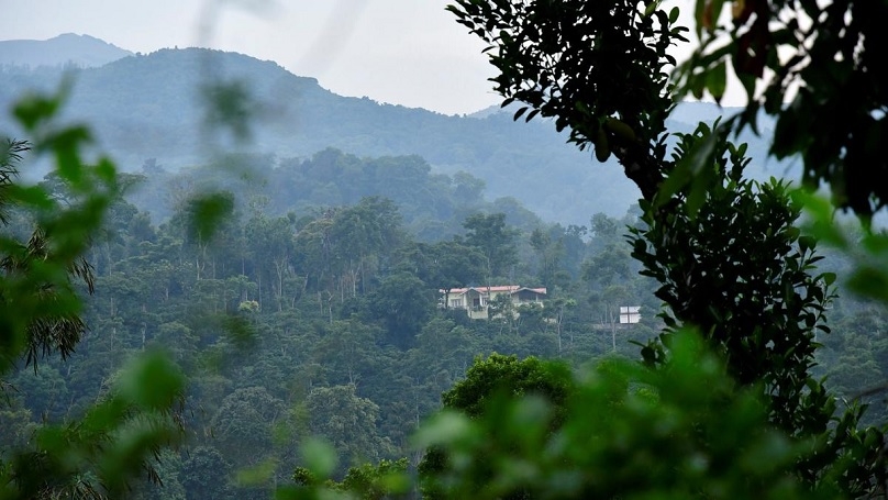 forests and Western Ghats 