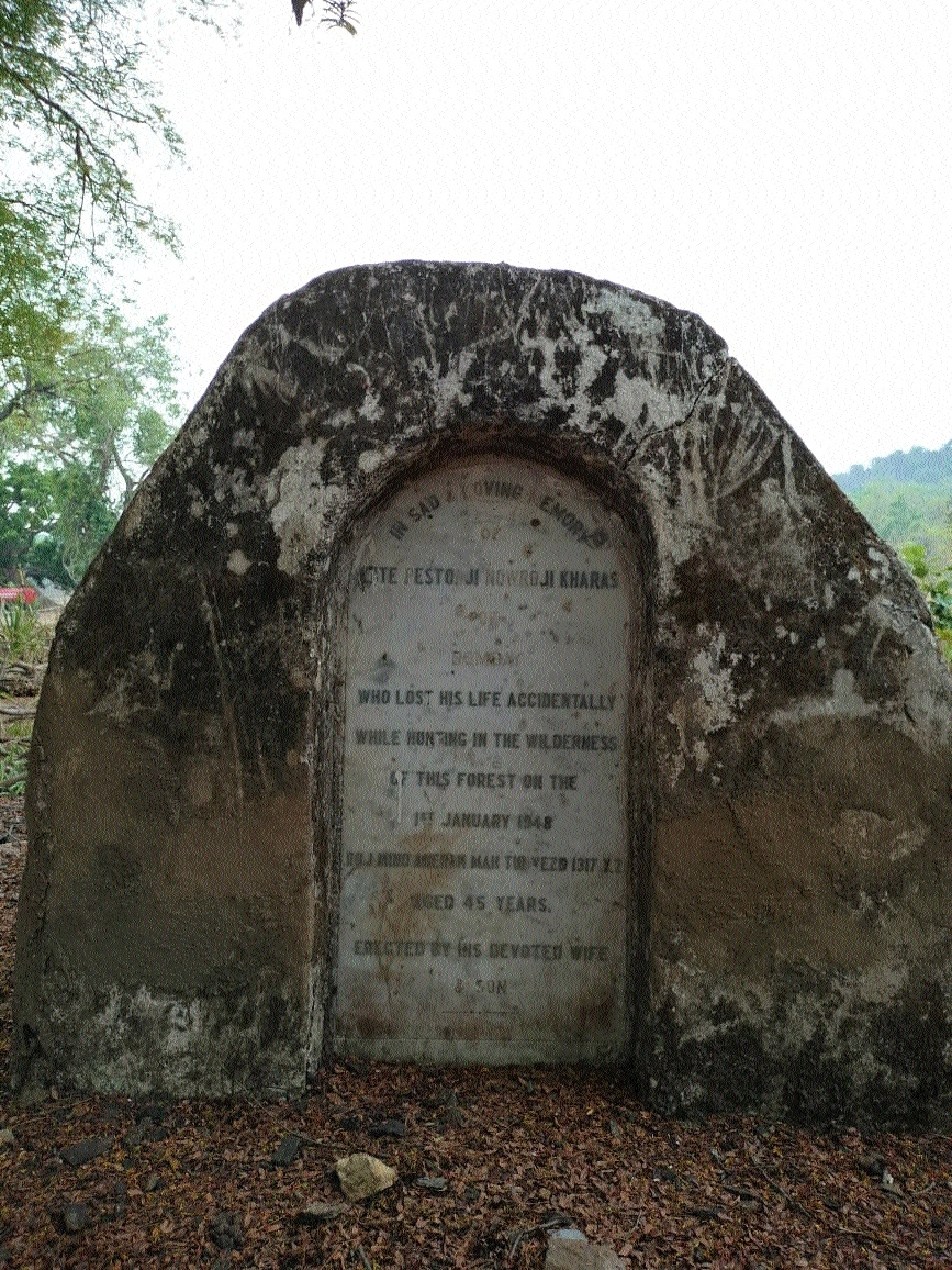 For 48 years Rozy lit 