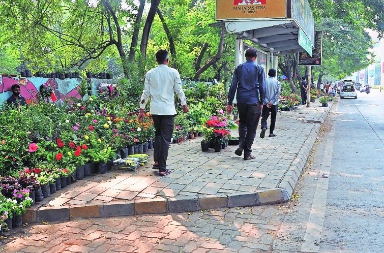 Nursery encroaching the sidewalk near Hadas High School 