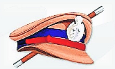 City Police officer spits 