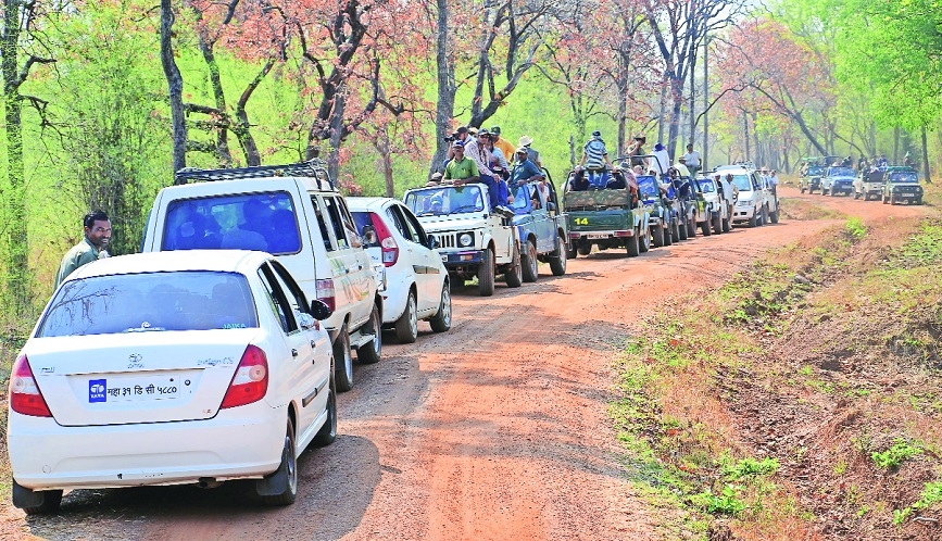 Mobile phone ban in jungle safari