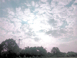 Only east Madhya Pradesh