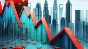 Chinas economy slows to