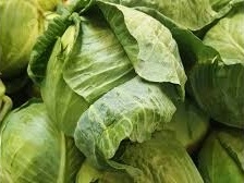 Leafy vegetable prices plunge post festive