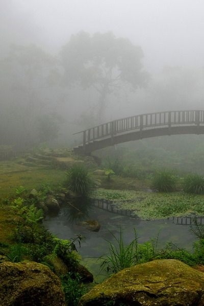 Of the mists light hug