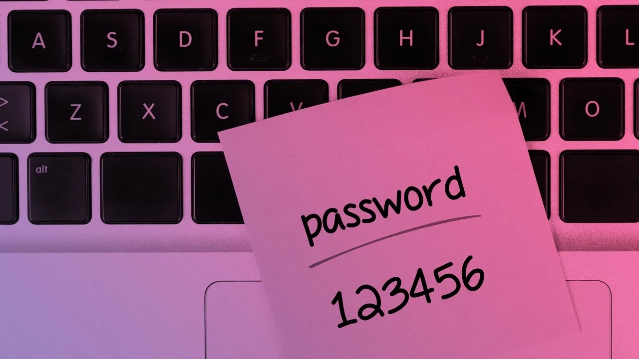 123456 password