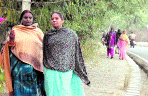 Pachmarhi shivers at 5.8°C,