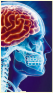 Every word rewires your brain