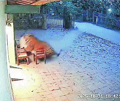 Another AI-generated 