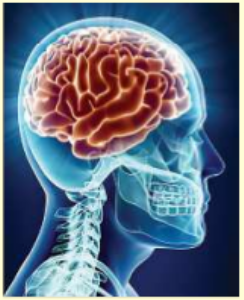 Reaction is natural, notthe pause